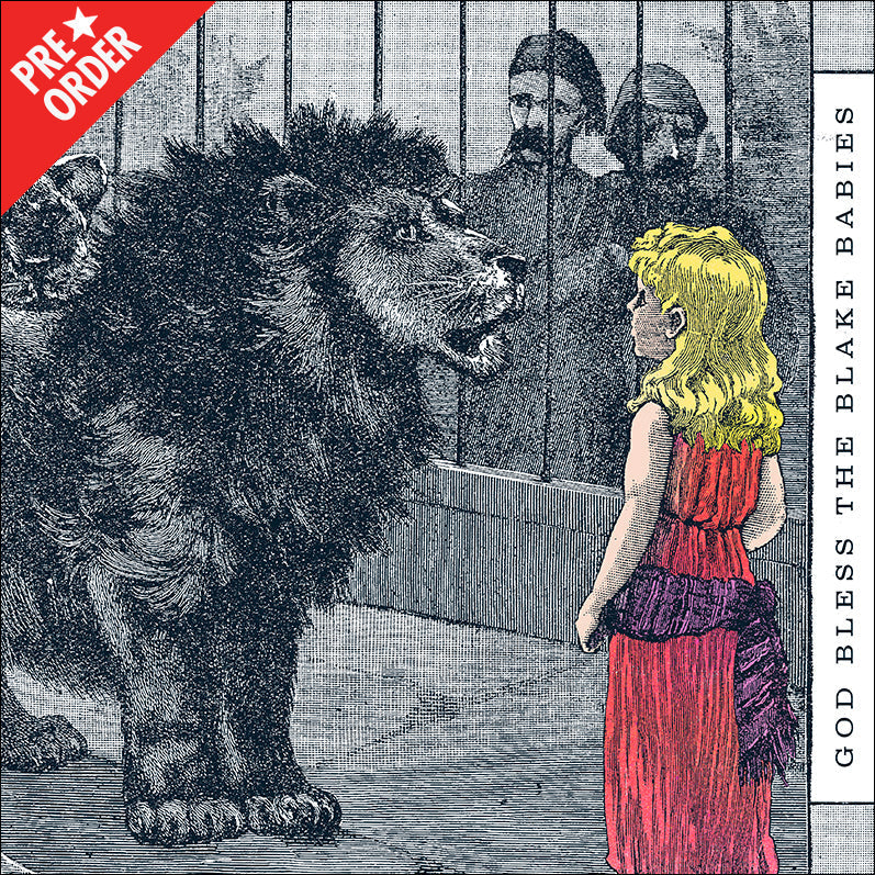 God Bless The Blake Babies Vinyl Cover Art