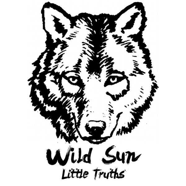 Wild Sun "Little Truths"